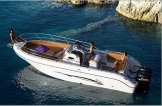  Renta de vehículos nuevos y usados 